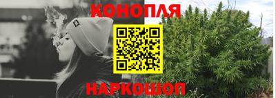 прущие грибы Гагарин