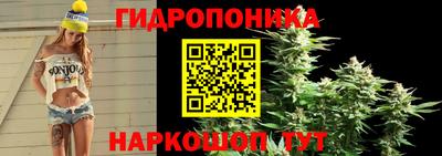 соль ск Гатчина