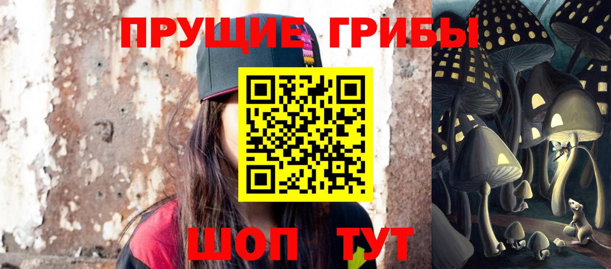 Псилоцибиновые грибы мицелий Елабуга