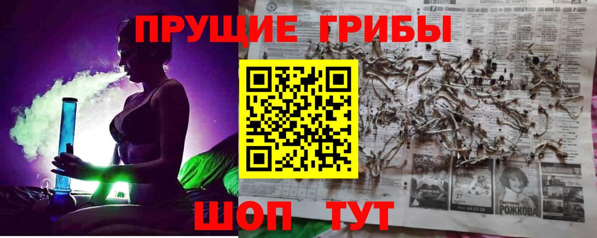 Псилоцибиновые грибы MAGIC MUSHROOMS  Елабуга  Псилоцибиновые грибы прущие грибы 